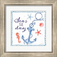 Framed 'Nautical Sea Life III-Anchor' border=