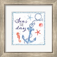 Framed 'Nautical Sea Life III-Anchor' border=