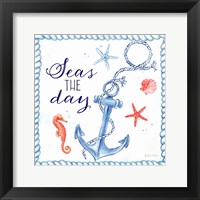 Nautical Sea Life III-Anchor Framed Print
