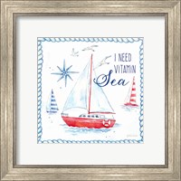 Framed 'Nautical Sea Life IV-Sailboat' border=