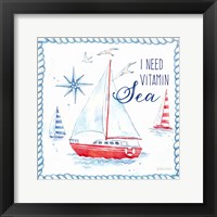 Framed 'Nautical Sea Life IV-Sailboat' border=