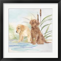 Framed 'Woodland Dogs II' border=