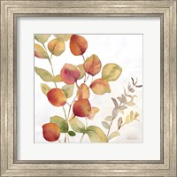 Framed 'Eucalyptus Leaves Spice II' border=