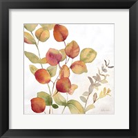 Eucalyptus Leaves Spice II Framed Print
