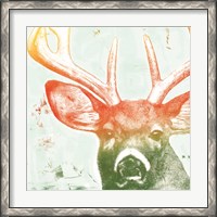 Framed 'Portrait of a Deer rainbow' border=