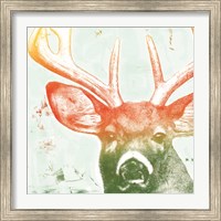 Framed 'Portrait of a Deer rainbow' border=