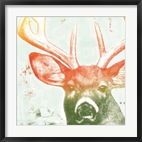 Framed 'Portrait of a Deer rainbow' border=