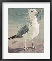 Framed Beach Bird VII