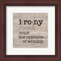 Framed 'Laundry Room Humor I-Irony' border=