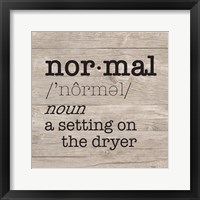 Framed 'Laundry Room Humor II-Normal' border=