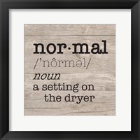 Framed Laundry Room Humor II-Normal