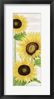 Fall Sunflowers panel I Framed Print