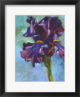 Framed Iris in Bloom