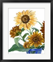 Framed China Sunflowers II