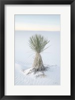 Framed Yucca in White Sands National Monument