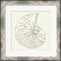 Framed 'Coastal Breeze Shell Sketches VII Silver' border=