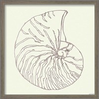 Framed 'Coastal Breeze Shell Sketches VII Silver' border=