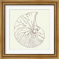 Framed 'Coastal Breeze Shell Sketches VII Silver' border=