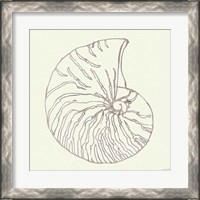 Framed 'Coastal Breeze Shell Sketches VII Silver' border=