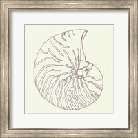 Framed 'Coastal Breeze Shell Sketches VII Silver' border=