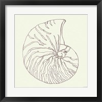 Framed 'Coastal Breeze Shell Sketches VII Silver' border=