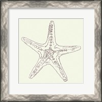 Framed 'Coastal Breeze Shell Sketches VI Silver' border=