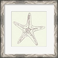 Framed 'Coastal Breeze Shell Sketches VI Silver' border=