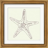 Framed 'Coastal Breeze Shell Sketches VI Silver' border=