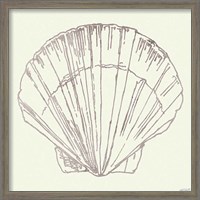 Framed 'Coastal Breeze Shell Sketches V Silver' border=