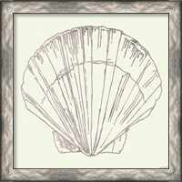 Framed 'Coastal Breeze Shell Sketches V Silver' border=