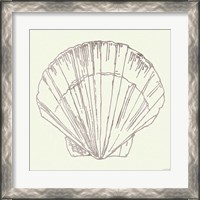 Framed 'Coastal Breeze Shell Sketches V Silver' border=