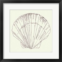 Framed Coastal Breeze Shell Sketches V Silver