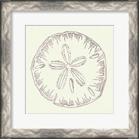 Framed 'Coastal Breeze Shell Sketches IV Silver' border=