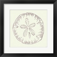 Framed 'Coastal Breeze Shell Sketches IV Silver' border=