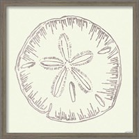 Framed 'Coastal Breeze Shell Sketches IV Silver' border=