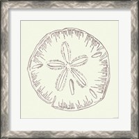 Framed 'Coastal Breeze Shell Sketches IV Silver' border=