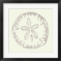 Framed 'Coastal Breeze Shell Sketches IV Silver' border=