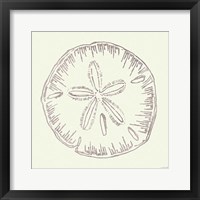 Framed Coastal Breeze Shell Sketches IV Silver