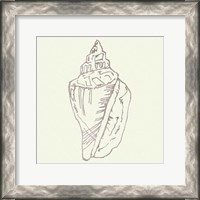 Framed 'Coastal Breeze Shell Sketches III Silver' border=