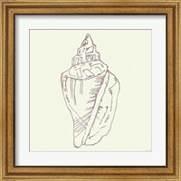 Framed 'Coastal Breeze Shell Sketches III Silver' border=