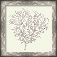 Framed 'Coastal Breeze Shell Sketches I Silver' border=