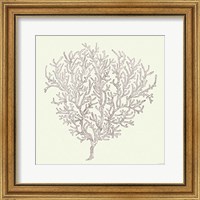 Framed 'Coastal Breeze Shell Sketches I Silver' border=