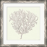 Framed 'Coastal Breeze Shell Sketches I Silver' border=