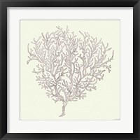 Framed 'Coastal Breeze Shell Sketches I Silver' border=