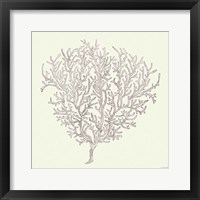 Coastal Breeze Shell Sketches I Silver Framed Print