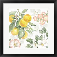 Framed 'Citrus Charm VI' border=