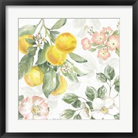 Citrus Charm VI Framed Print