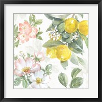 Citrus Charm V Framed Print