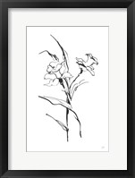 Framed Line Daffodil