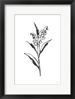 Framed Line Lily of the Valley II